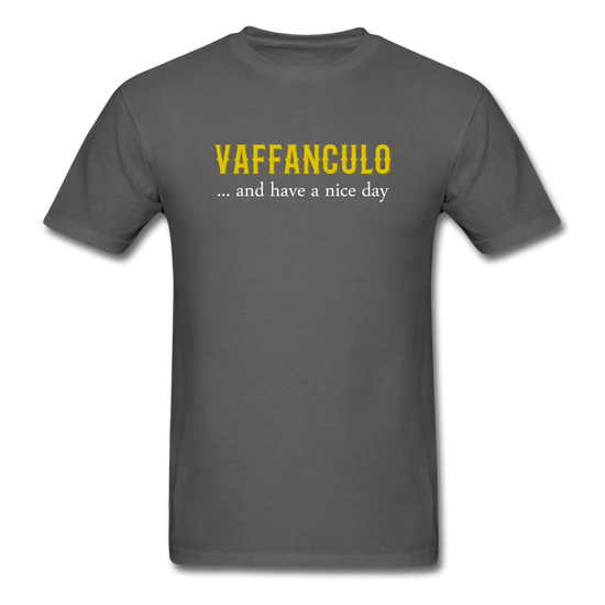 Vaffanculo... and have a nice day T-shirt - charcoal