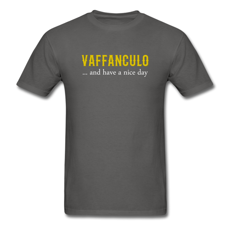 Vaffanculo... and have a nice day T-shirt - charcoal