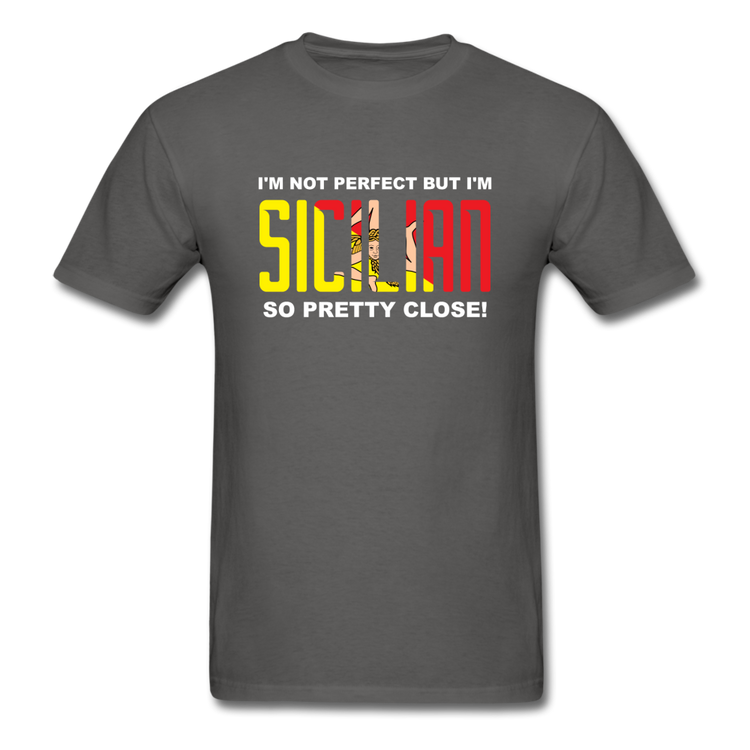 I'm not perfect but I'm Sicilian. So pretty close T-shirt - charcoal