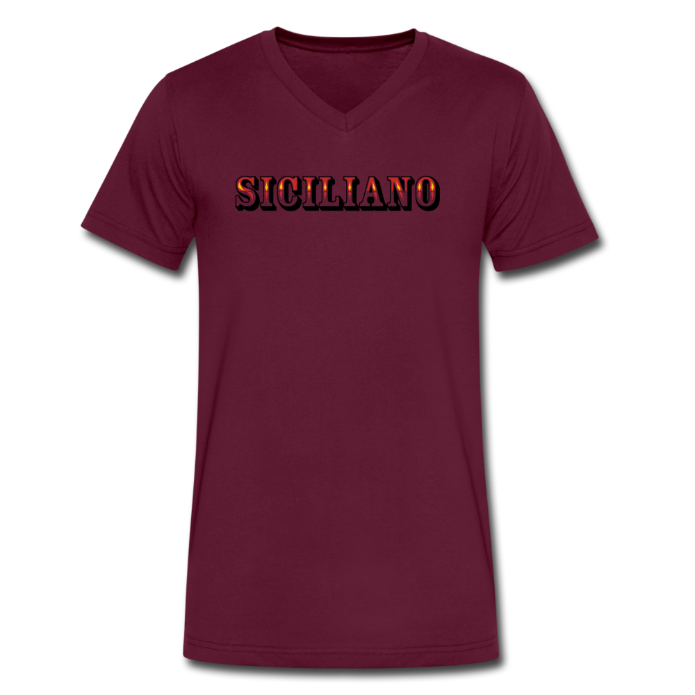 Siciliano Unisex V-neck T-shirt - black