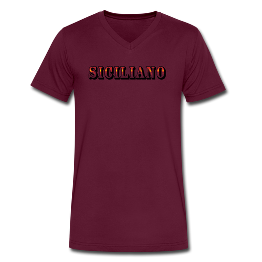 Siciliano Unisex V-neck T-shirt - maroon