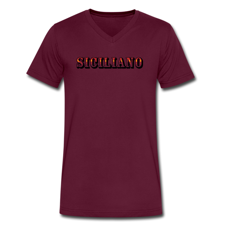 Siciliano Unisex V-neck T-shirt - maroon