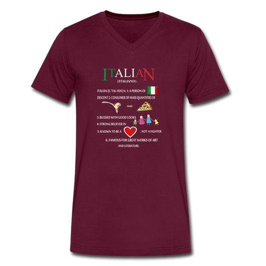 Italian (Italiano) noun Unisex V-neck T-shirt - maroon