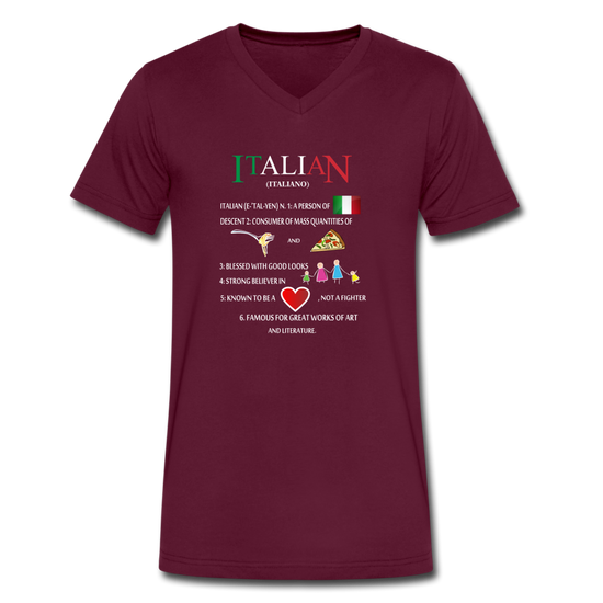 Italian (Italiano) noun Unisex V-neck T-shirt - maroon