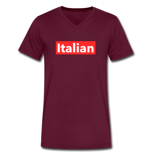 Italian red Unisex V-neck T-shirt - maroon